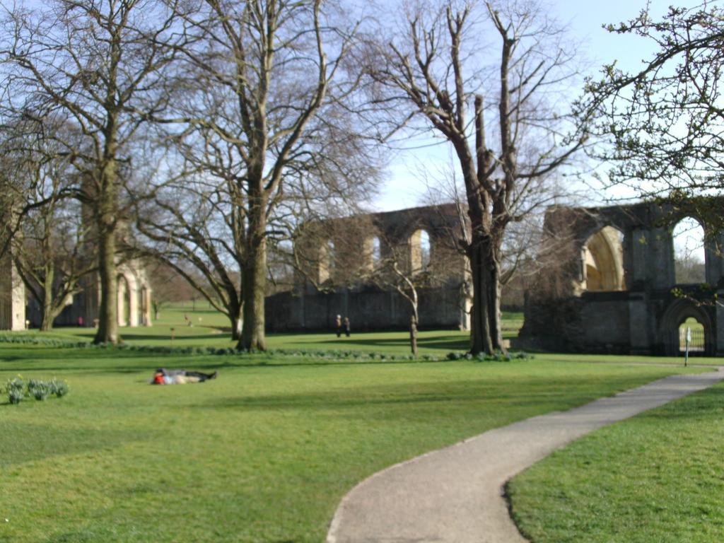 Rekreační dům Sacred Garden Retreat Glastonbury Exteriér fotografie