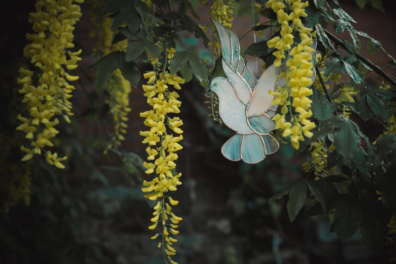 Rekreační dům Sacred Garden Retreat Glastonbury Pokoj fotografie